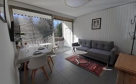 studio quartier calme centre ville vue mont Blanc